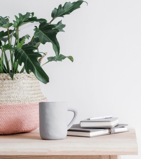 About3_TheSpanielStudio