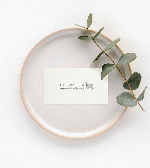 TheSpanielStudio_Branding